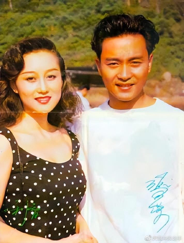 外人看来是掉进蜜罐,甜蜜背后皆是眼泪|智利|利智|李连杰_新浪新闻