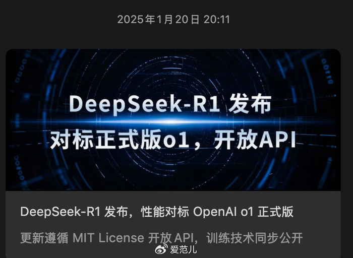 DeepSeek R1 发布一周年，不卷功能、不融资、不着急，硬控了科技世界__财经头条__新浪财经