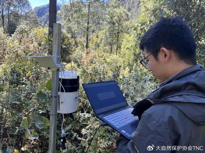 老君山保护地在沿冲江河流域海拔2000m-4000m范围内,按200m海拔梯度