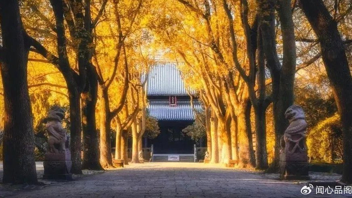 原创|茶会凉，人会变，心会寒，情会断....（深度好文）