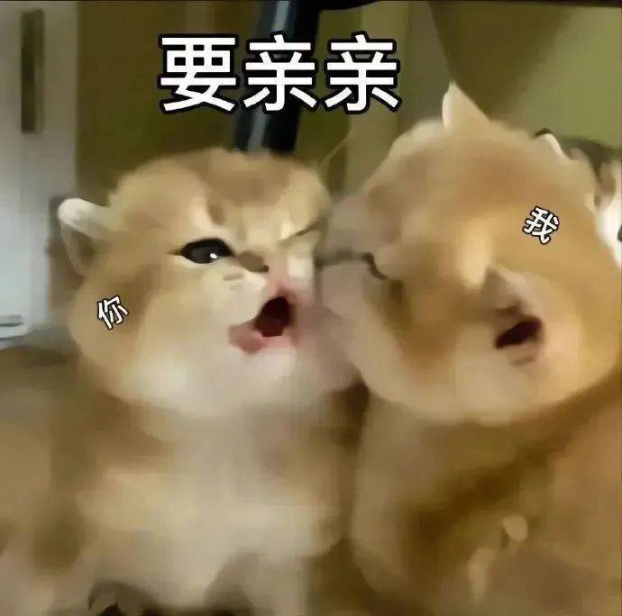 精选表情包听到没有说你呢拿图点赞吱声