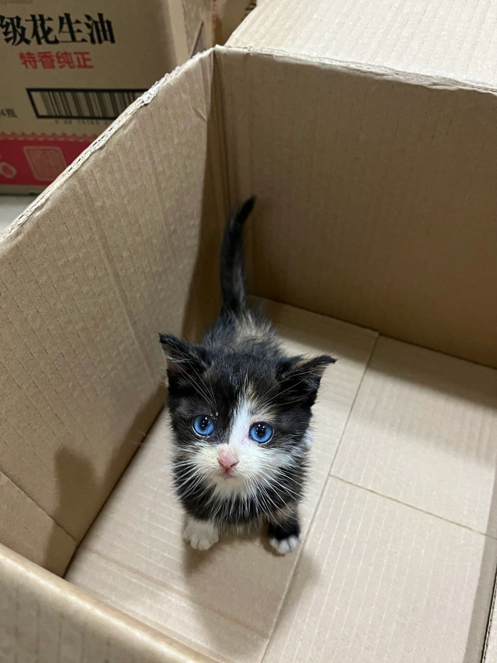 糊糊小猫^> ·̫__财经头条