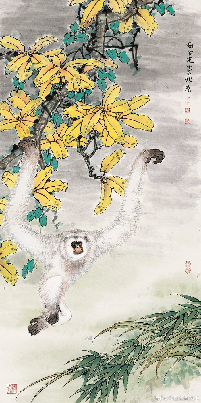 画家田世光笔下的白猿图
