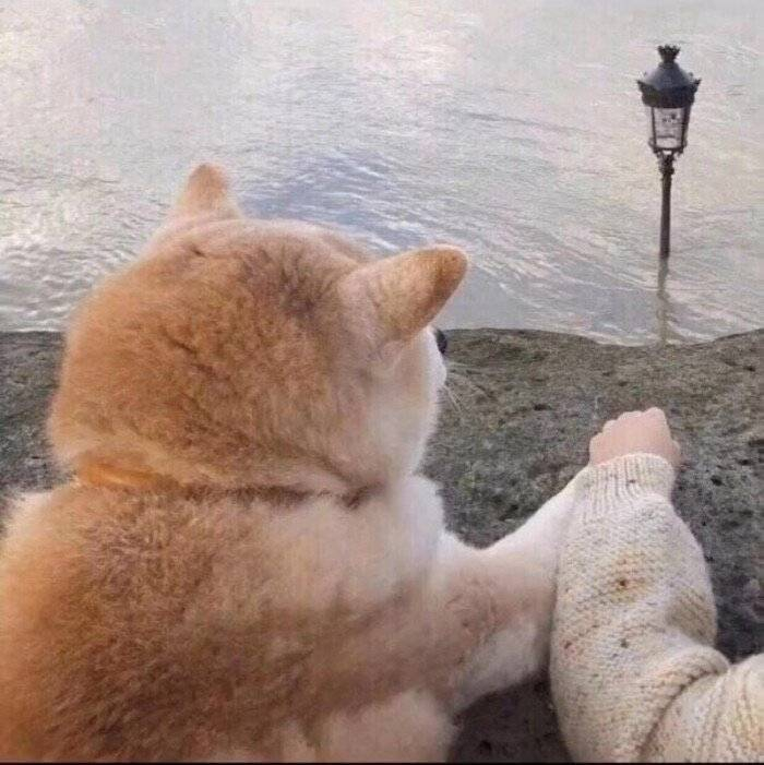 6713/ 14新的情侣头像来啦! 6714/ 14新的情侣头像来啦! 67
