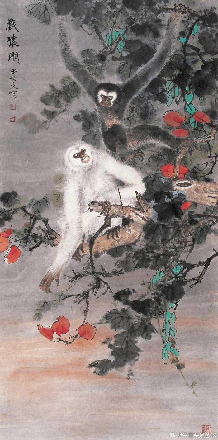 画家田世光笔下的白猿图