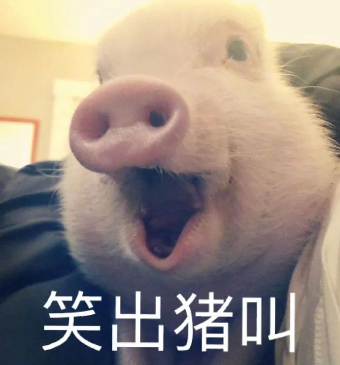 笑出猪叫表情包走红网络,网友争相收藏
