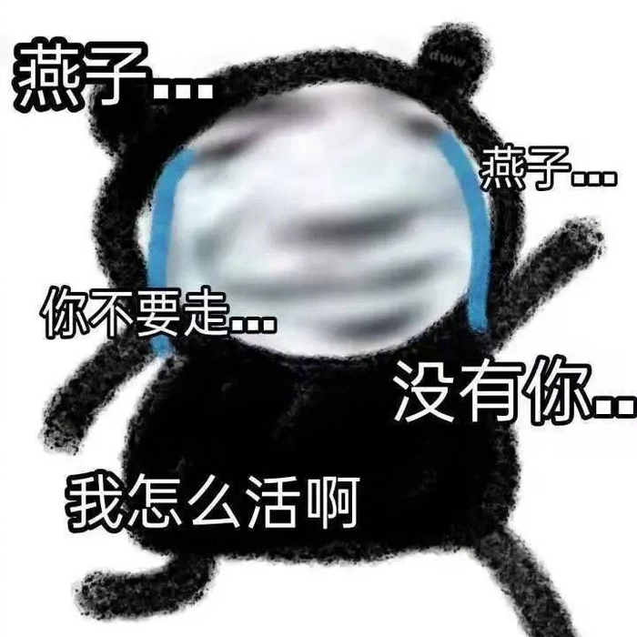 表情包我是没人要的小宝贝拿图点赞吱声