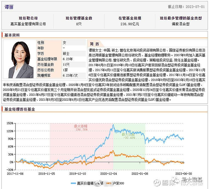 如何看待嘉实基金谭丽的业绩表现?|基金经理|嘉实基金_新浪新闻