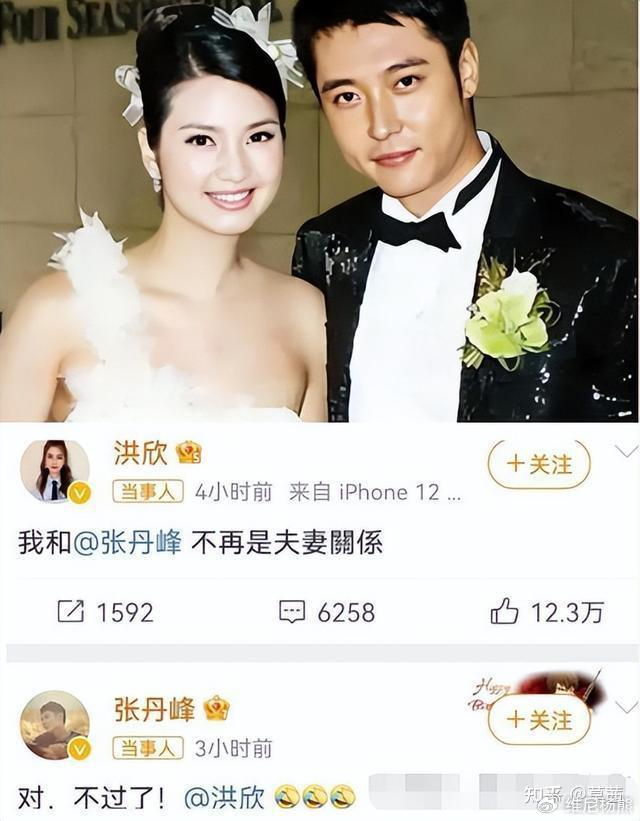 马伊琍选择离婚,洪欣不敢,两人做法不同,这里面大有文章