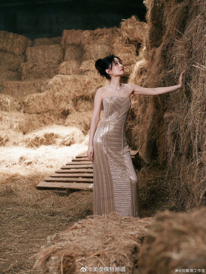 刘敏涛鎏金抹胸裙曼妙佳人