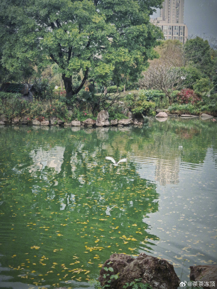 黎明湖公园