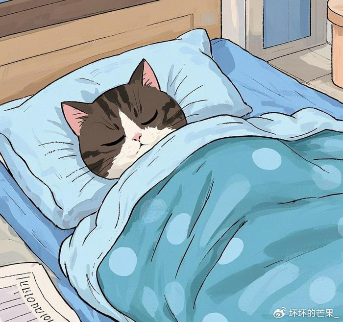 猫咪喜欢在你床上睡,不是冷,真正原因很多人不知道