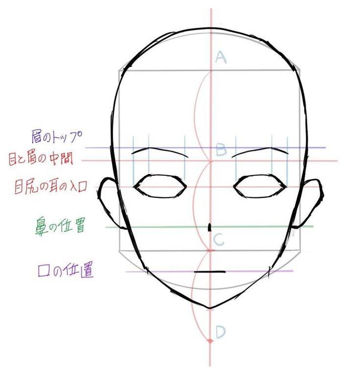 如果你试图突出塑造脸型