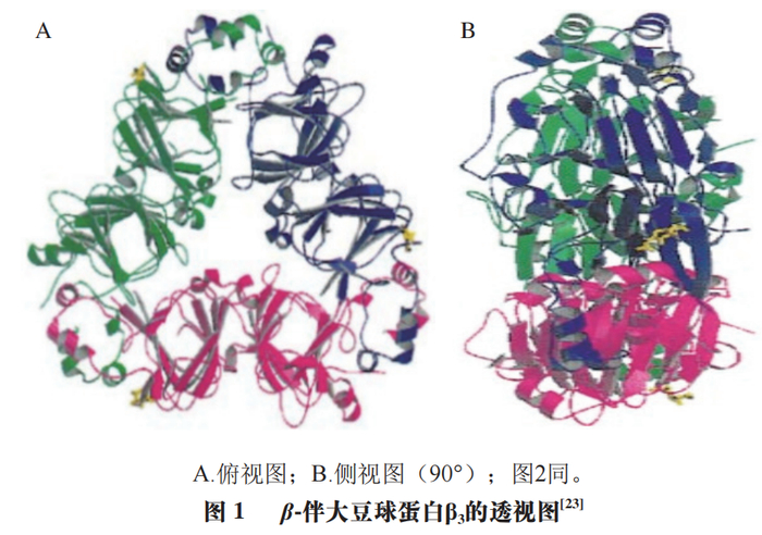 河南工业大学布冠好教授等大豆主要致敏蛋白及其检测技术研究进展