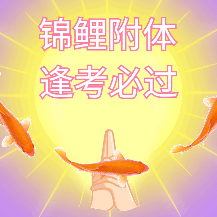 见者好运愿你努力发光逢考必过