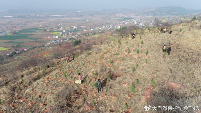 守护南水北调水源地记tnc河南丹江石漠化土地近自然精准修复项目