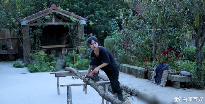 羡慕李子柒的生活?可去掉"滤镜"就会发现,原来藏着"猫腻"