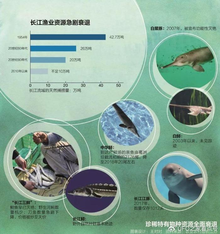 长江禁渔鱼类名录图片