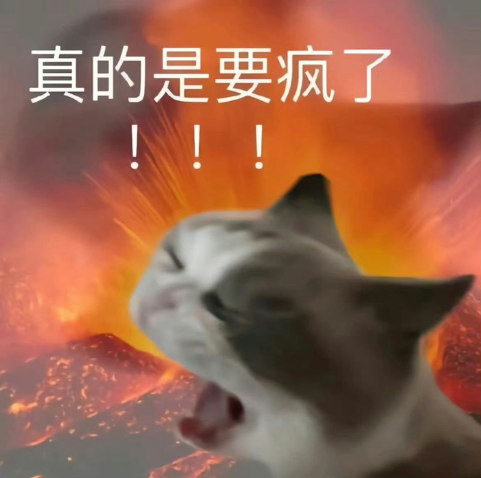 又到了存表情包的快乐时间