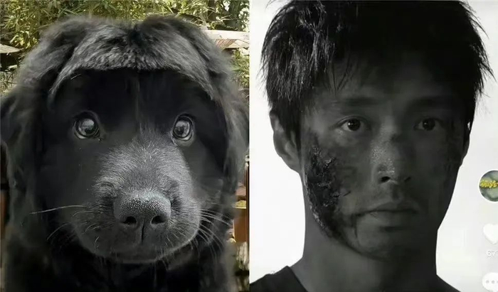 罗志祥,张艺兴,昆凌,文咏珊,马伯骞|文咏珊|张艺兴|昆凌_新浪新闻