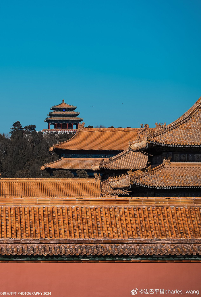 北京故宫探春 摄影