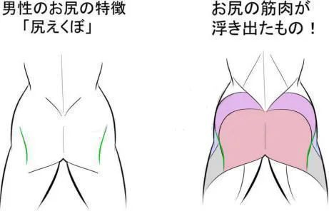看完这个还有人不会画臀部?|臀部|屁股|教程_新浪新闻