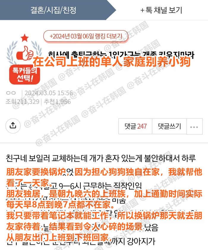 星空龙腾版380夜间