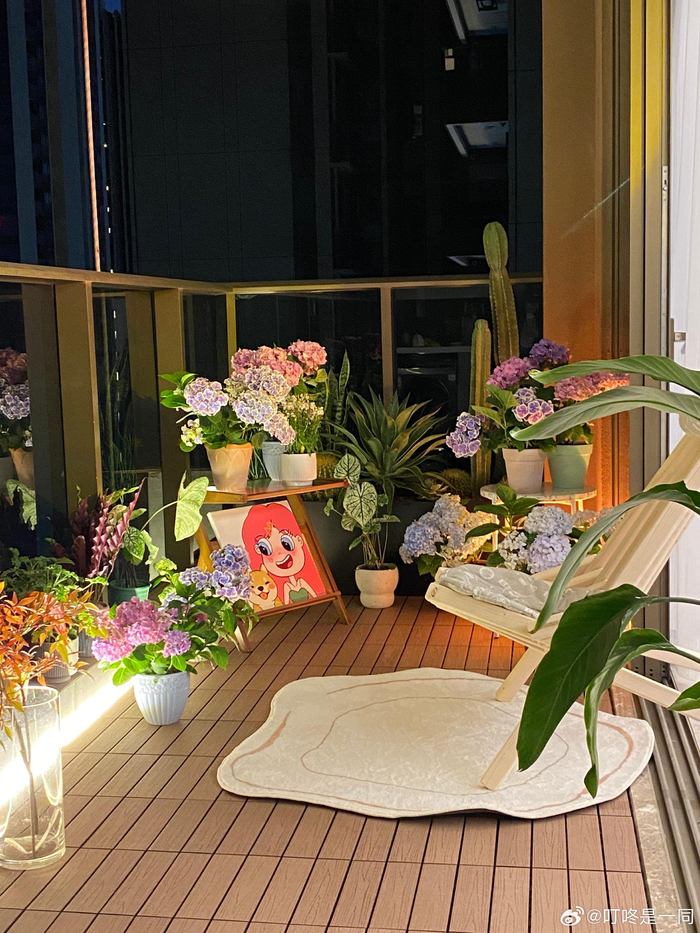 爱惨我家阳台 花花草草治愈一切