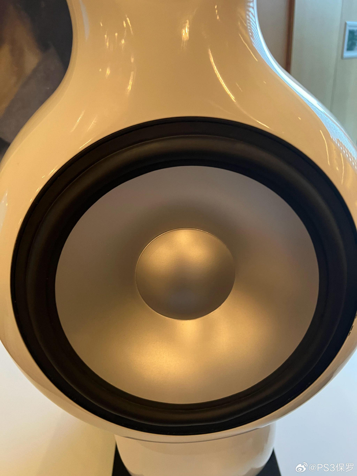 参加马丁的活动,宝华韦健放了著名的鹦鹉螺音响,多少钱呢?80万