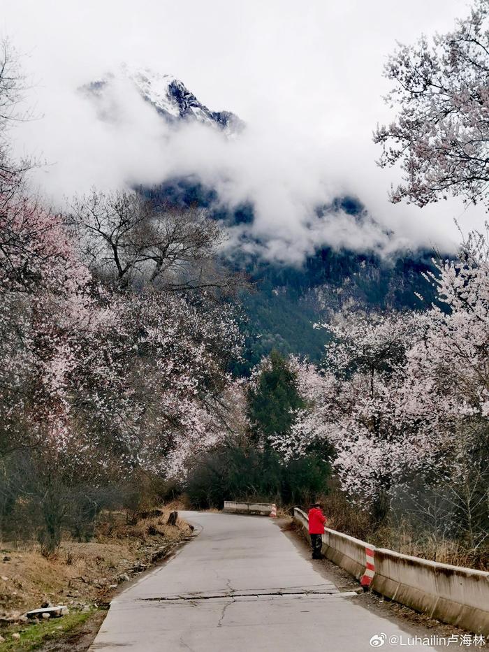 大邑桃花沟风景区图片