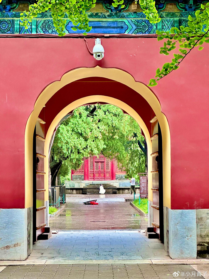 二伏雨中的北京中山公园, 摄影