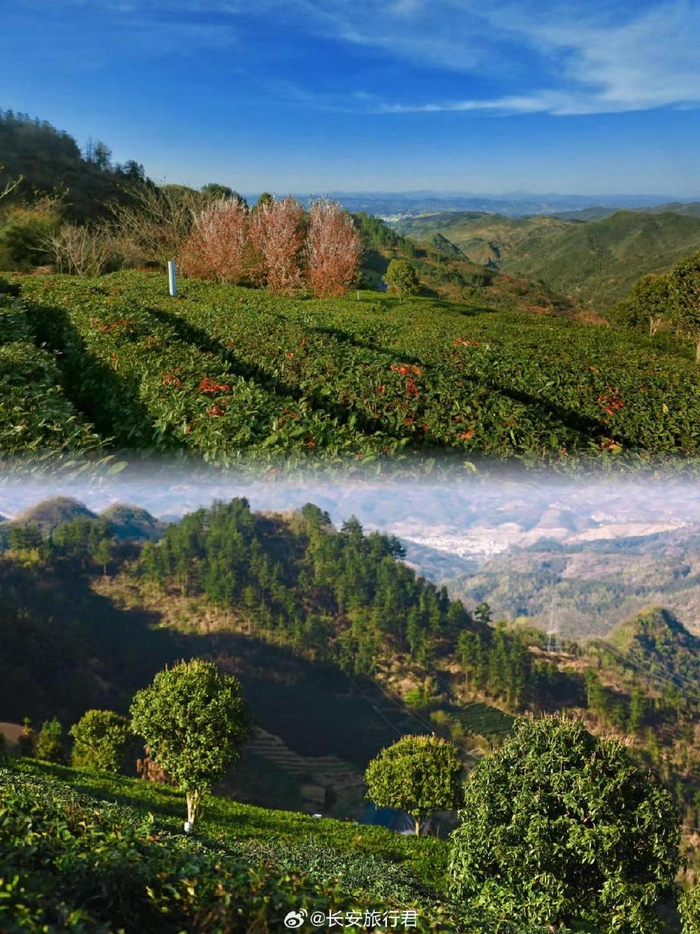 西安百家旅行社访竹溪活动盛大举行|同仁|竹溪|旅行社_新浪新闻