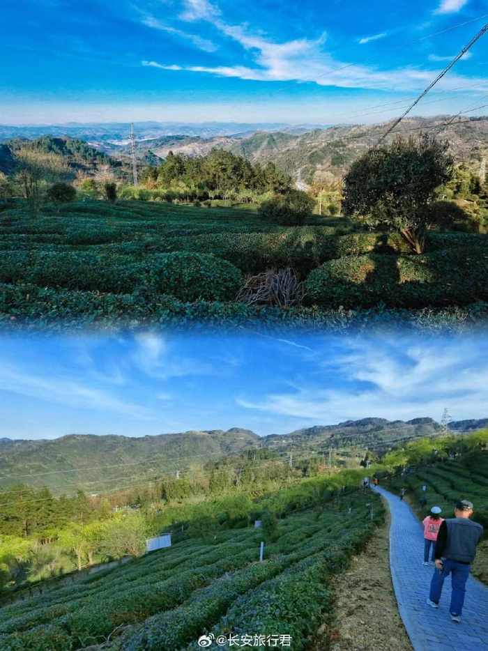 西安百家旅行社访竹溪活动盛大举行|同仁|竹溪|旅行社_新浪新闻