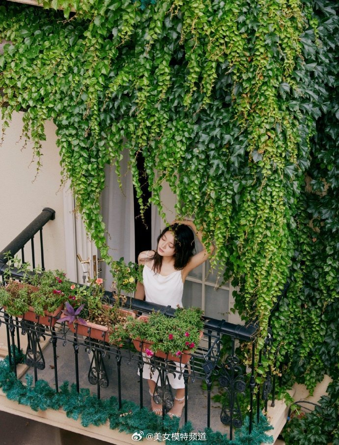 赵今麦一袭吊带白裙清纯动人 长发微卷静倚窗边显少女文艺