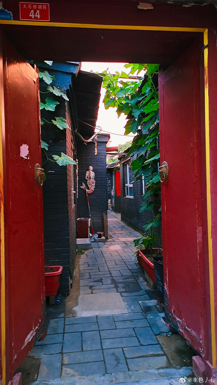 北京大石桥胡同的夏天 摄影