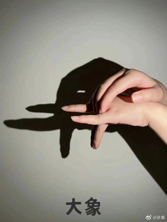 亲子游戏手影,有趣又有爱! 先为孩子收藏了吧~(图转)|亲子活动_新浪新闻