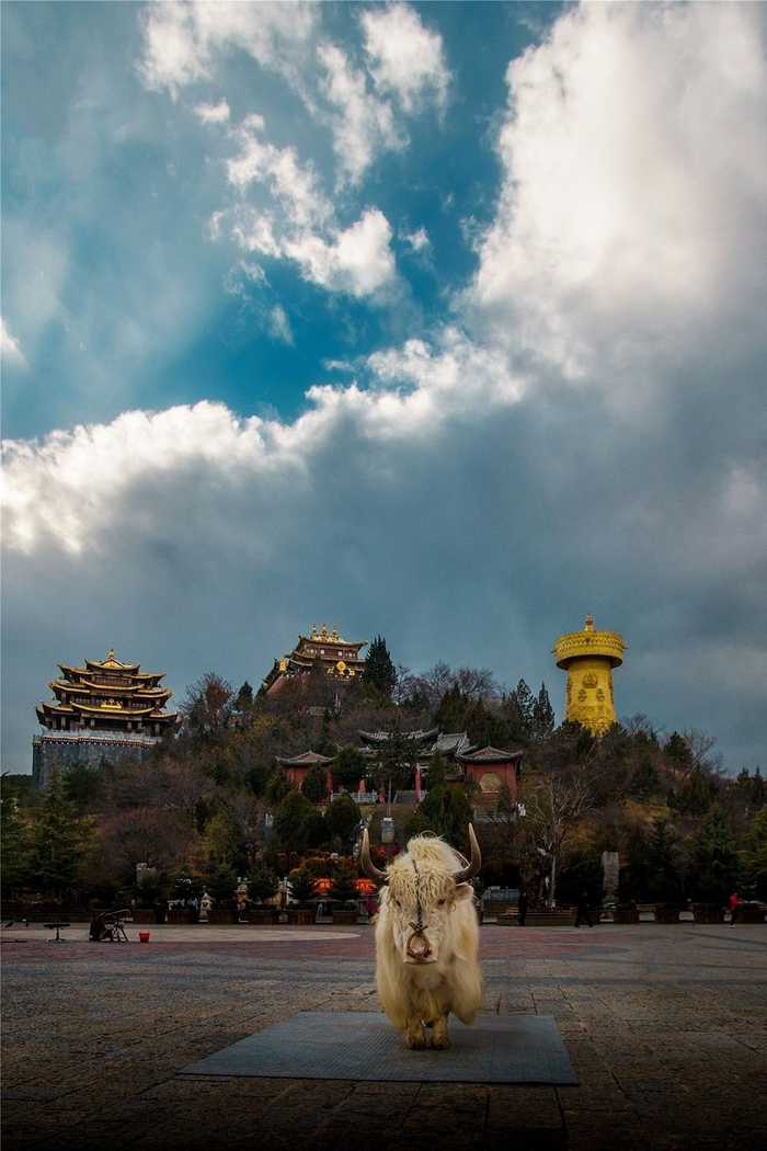 香格里拉那最唯美的人间天堂