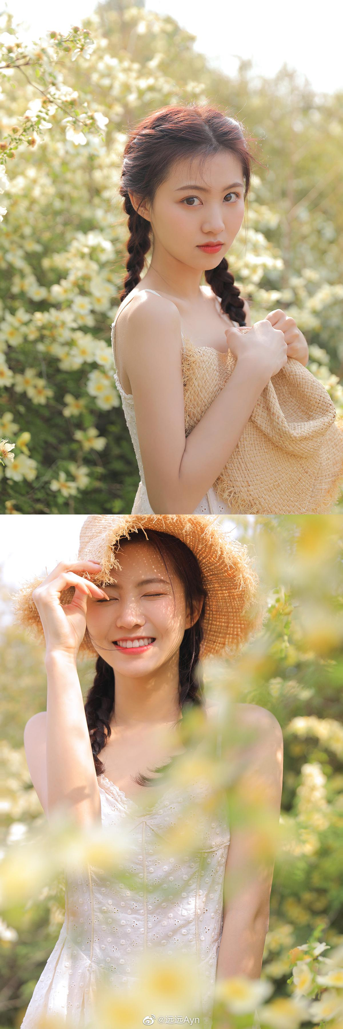 杨茗茗 往心里装一片大海和花海再多装一点少女心和爱🧡🧚🏻‍♀