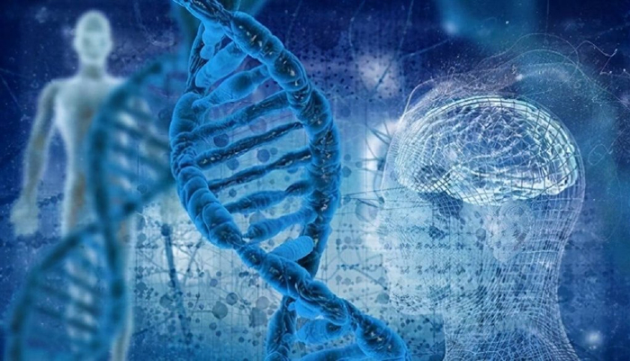 人类是碳基生命,但宇宙中还存在硅基生命,它们不需要水和氧气|硅基