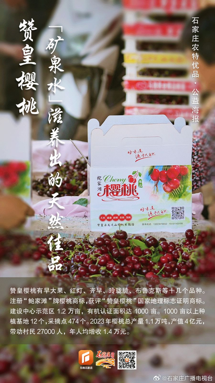 石家庄农特优品·公益海报丨赞皇樱桃 "矿泉水"滋养出的天然佳品