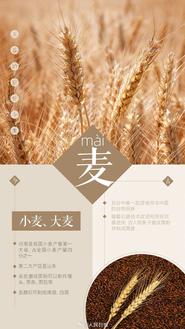 蛤蟆和青蛙怎么叫