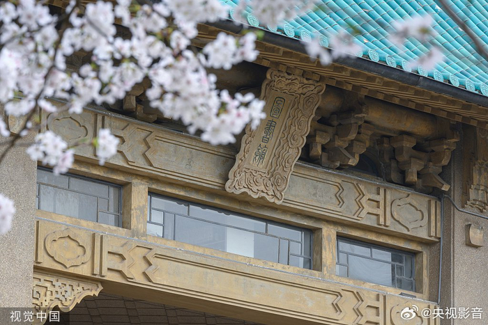 武汉大学2024年赏樱政策发布