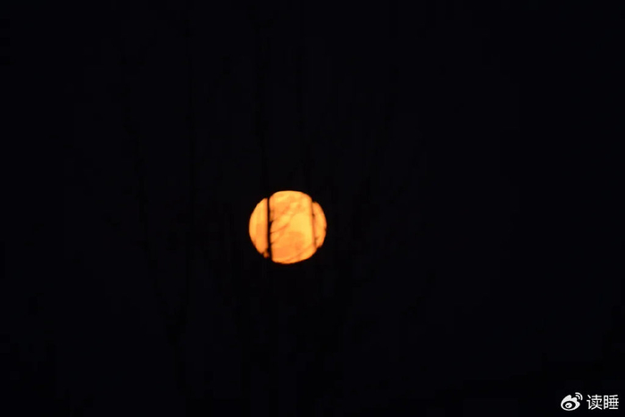 诗天子61诗刊|诗歌精选第284期|诗歌|诗刊|诗社_新浪新闻