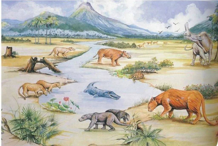 6000万年的地球:从猛犸象到巨齿鲨,人类祖先还非常弱小|哺乳动物|动物|新生代|演化|生物_新浪新闻