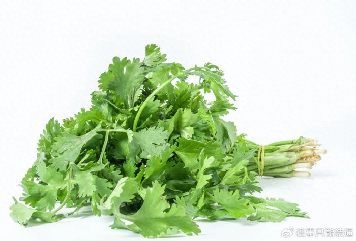 香菜,肠道不通吃它,有大功效!__财经头条
