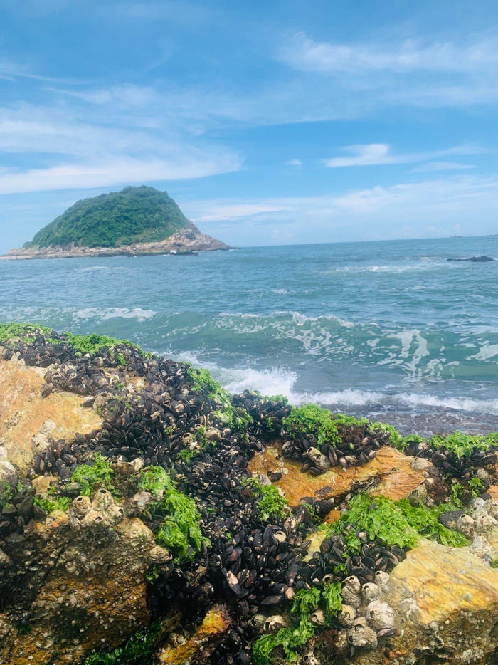 地点是惠州市惠东县盐洲岛黑排角彩石滩