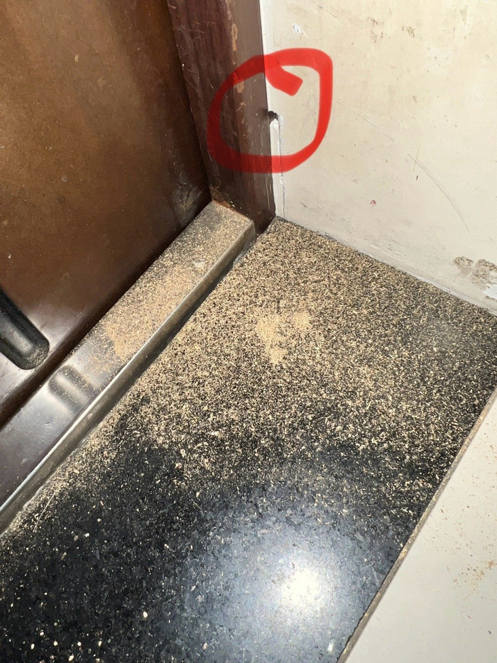 家里的进户门旁,莫名多了一小摊木屑,多半是家里有了白蚁或蠹虫,木屑