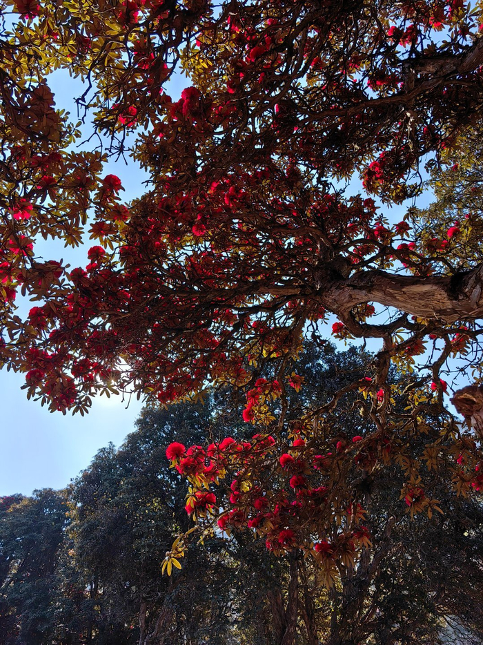 永德大雪山临沧海拔最高的地方