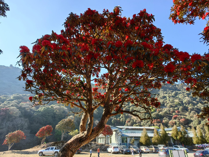 永德大雪山临沧海拔最高的地方