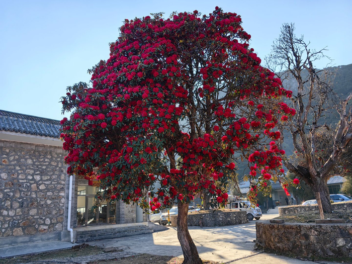 永德大雪山临沧海拔最高的地方